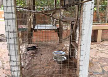 WhatsApp_Bild_2025-11-04_um_12.19.40_9a8a9f02_original_copy_1