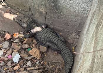 Unbenannt7_original_copy_1