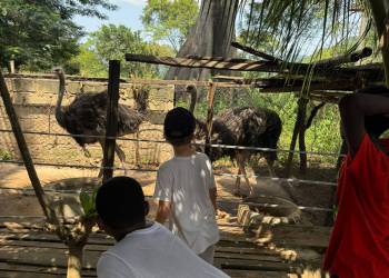 Unbenannt8_original_copy_1