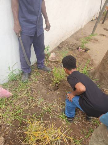 2025-12-15_Pflanzaktion_Klasse_3-4_4_original_copy_1