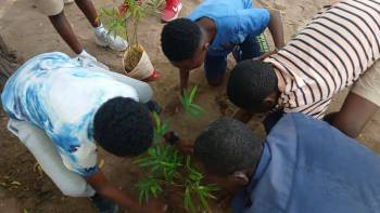 2025-12-15_Pflanzaktion_Klasse_5_4_original_copy_1