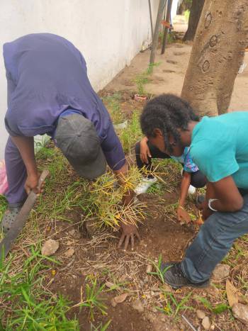 2025-12-15_Pflanzaktion_Klasse_3-4_5_original_copy_1