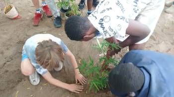 2025-12-15_Pflanzaktion_Klasse_5_2_original_copy_1