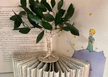 WhatsApp_Bild_2025-05-07_um_15.38.22_6cacf9b6_original_copy_1