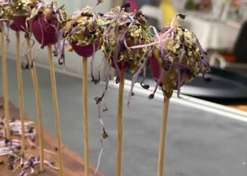 WhatsApp_Bild_2025-06-12_um_10.18.48_282f15d8_original_copy_1