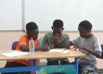 DaF / German as a foreign language