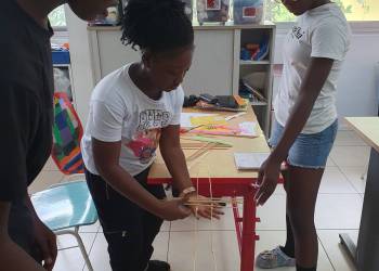 DaF / German as a foreign language