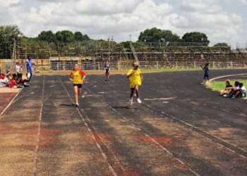 58f6a81d-b916-4349-996b-394a5d29395c_original_copy_1