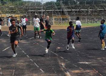 7233d819-d2df-436c-a26a-7cf0257f8964_original_copy_1