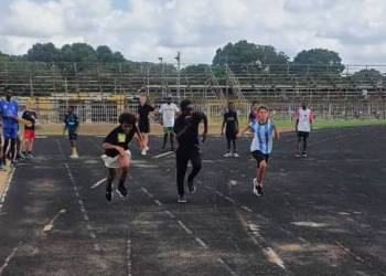 8cb3ec08-054e-4ba0-8297-05a23c1418cc_original_copy_1