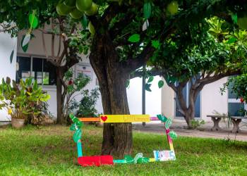 X-5C8A5223_original_copy_1