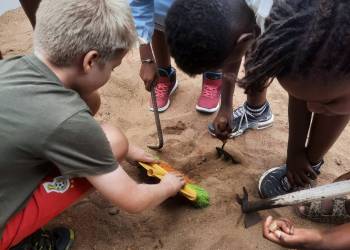 1000065136_original_copy_1