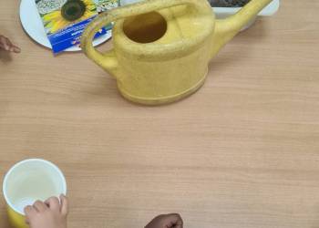 2025-09-12_Kita_2_original_copy_1