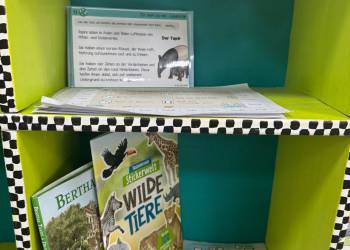 WhatsApp_Bild_2025-09-30_um_12.31.30_3b4d9a39_original_copy_1