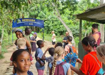 4028708a-72e4-4c7c-845f-07b3c0f7bd66_original