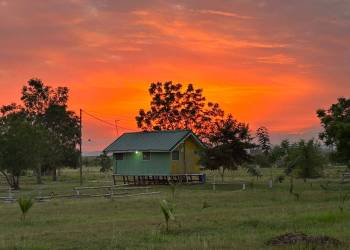 IMG-20231127-WA0074_original