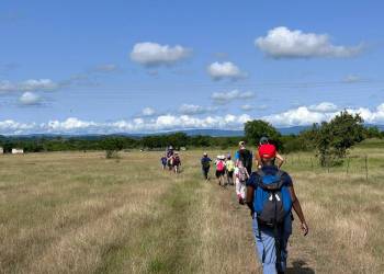 IMG-20231128-WA0019_original