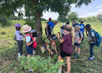 IMG-20231128-WA0041_original