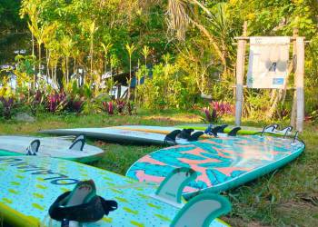 7f81ded2-9ce3-4eb6-a5dc-d87962ec9d32_original