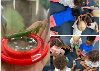 23b51e1d-400b-46a4-991f-56037e29e6f0_original