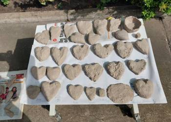 20240508_150159_original