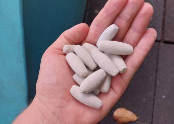 20240509_081926_original