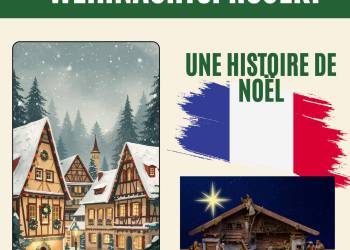 2025-10-13_Weihnachtsprojekte_4_original