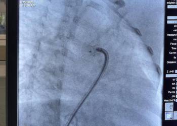 WhatsApp_Bild_2025-11-07_um_08.25.31_6011ae84_original