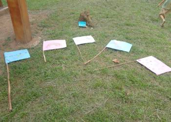 WhatsApp_Bild_2025-11-06_um_23.49.43_e21a46a8_original