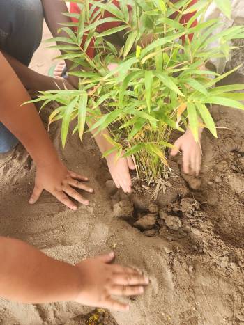 2025-12-15_Pflanzaktion_Klasse_3-4_10_original