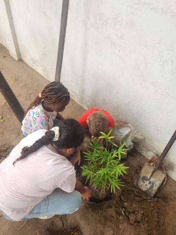 2025-12-15_Pflanzaktion_Klasse_3-4_12_original