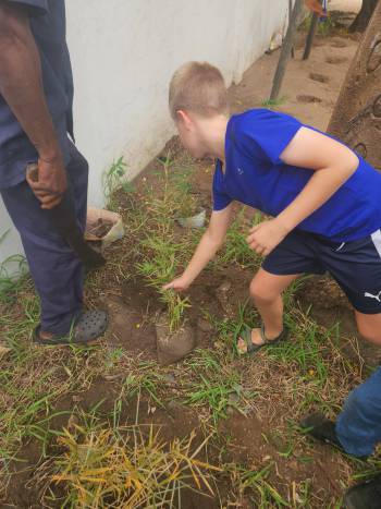 2025-12-15_Pflanzaktion_Klasse_3-4_3_original