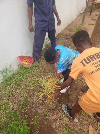 2025-12-15_Pflanzaktion_Klasse_3-4_7_original