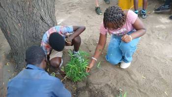 2025-12-15_Pflanzaktion_Klasse_5_1_original