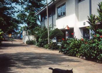 Bild von Maia Grütter, Anfang der 80er Jahre