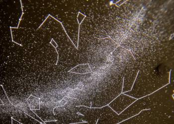 processed-DB5ACE78-AB6D-4FAA-8DAD-69B1DD801BF3_original_copy_1