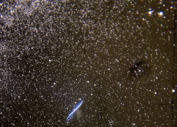 processed-ED94B4A1-0112-44D9-BB9D-C33E96B0916A_original_copy_1