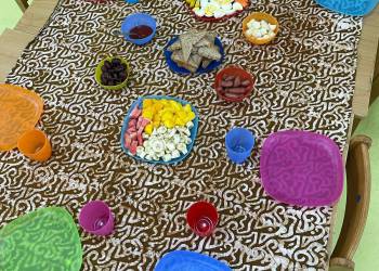 3790a095-b428-47af-bdeb-9289cd2dccf9_original