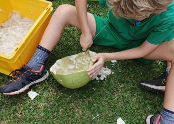 IMG-20241029-WA0105_original