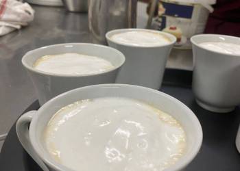 WhatsApp_Bild_2025-06-12_um_10.18.59_1402192a_original