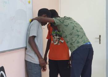 DaF / German as a foreign language