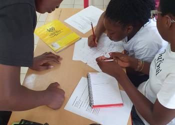 DaF / German as a foreign language