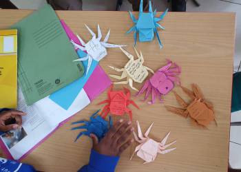 DaF / German as a foreign language