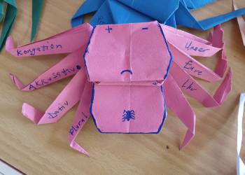 DaF / German as a foreign language