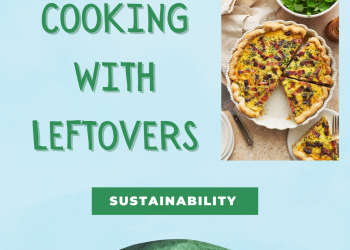 Sustainability during Project Time in June 2025