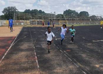 33d2c598-d7d3-42ef-8c69-82ecd82ff9e0_original