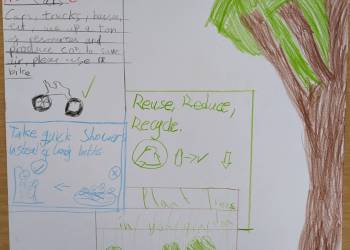 Sustainability during Project Time in June 2025