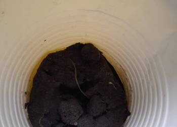 2025-09-12_Kita_1_original